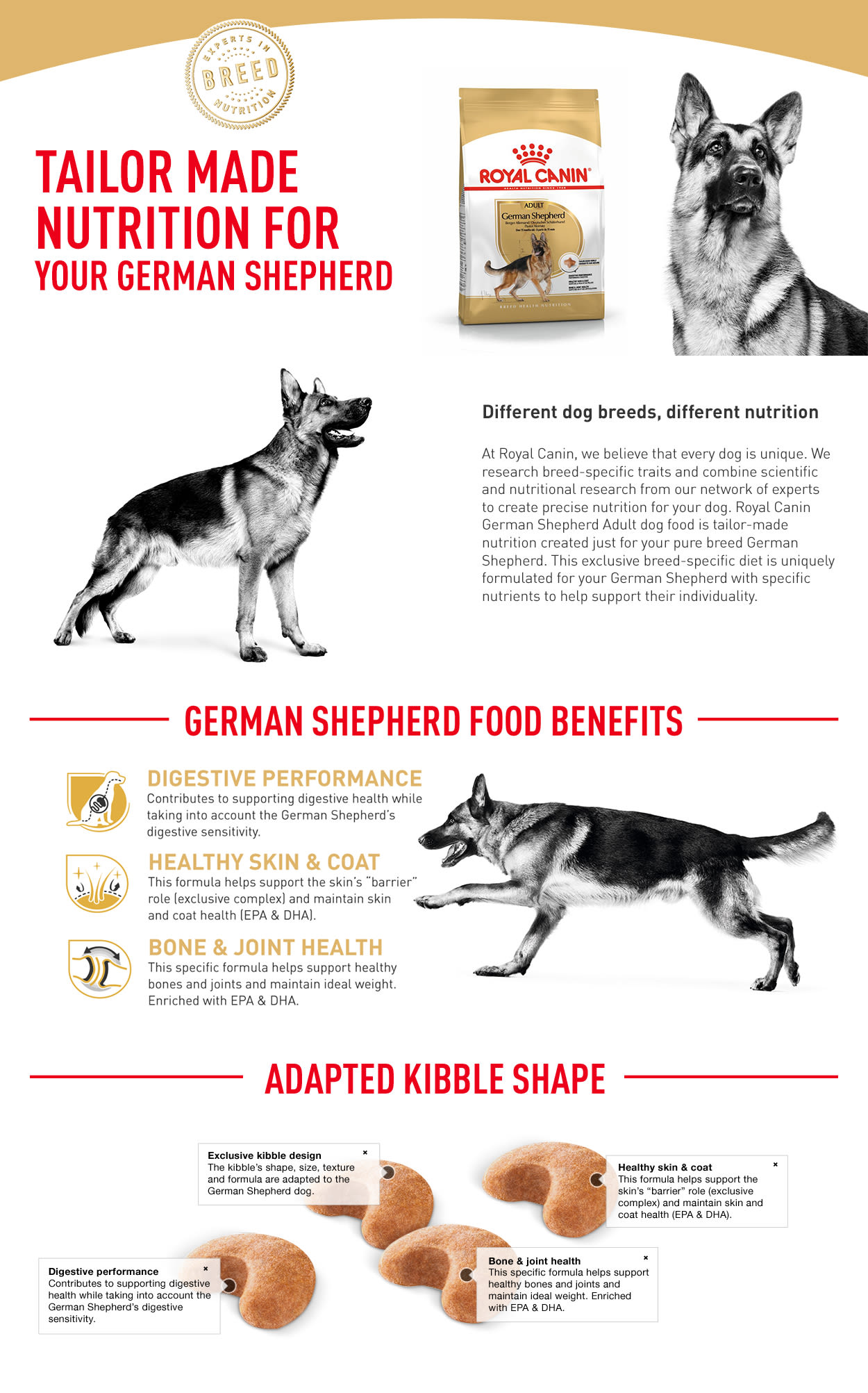 Royal Canin German Shepherd Adult Dry Dog Food Medic Animal